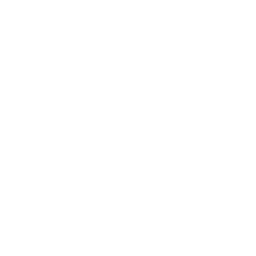 Vito Longevity 